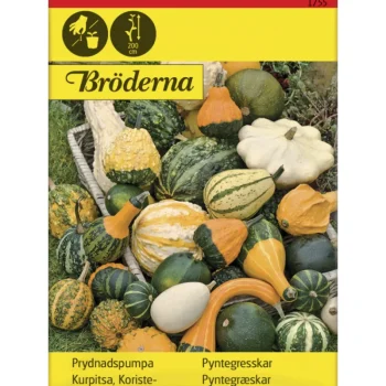 Bröderna Nelsons Kasvien Ja Nurmikonsiemenet-Koristekurpitsa Seos Siemen