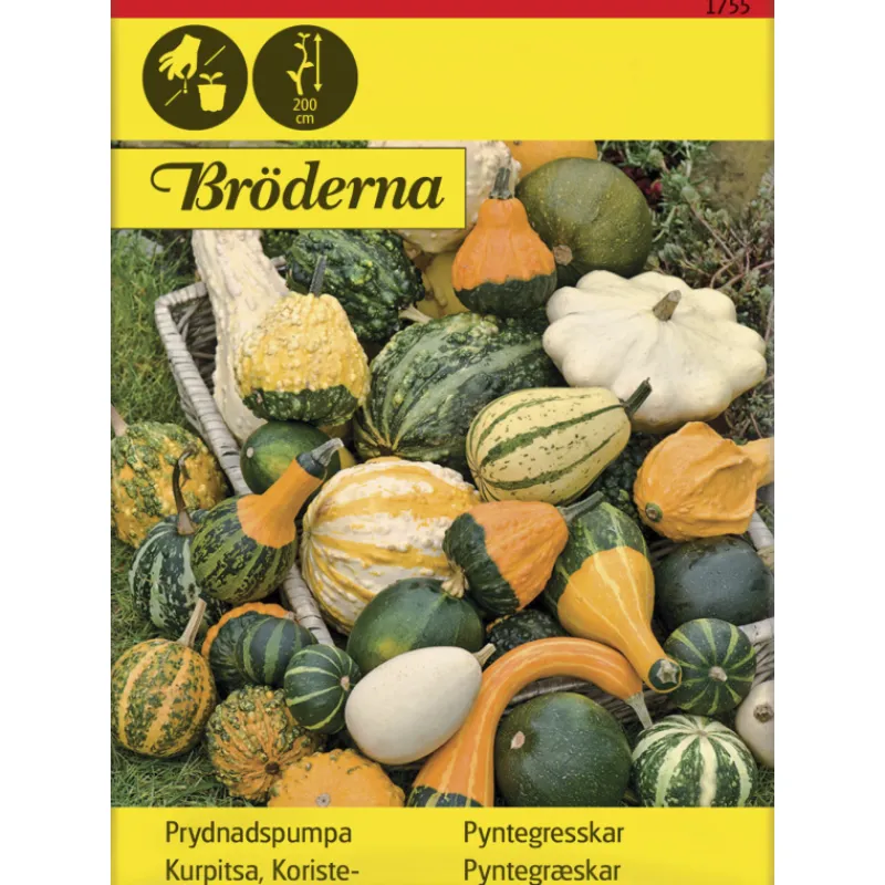 koristekurpitsa-seos-siemen-br-uEUgNFTQ-0.webp Bröderna Nelsons Kasvien Ja Nurmikonsiemenet-Koristekurpitsa Seos Siemen