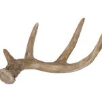 Kotikulta Maljakot Ja Koriste-esineet-Koristesarvi 17,9 Cm