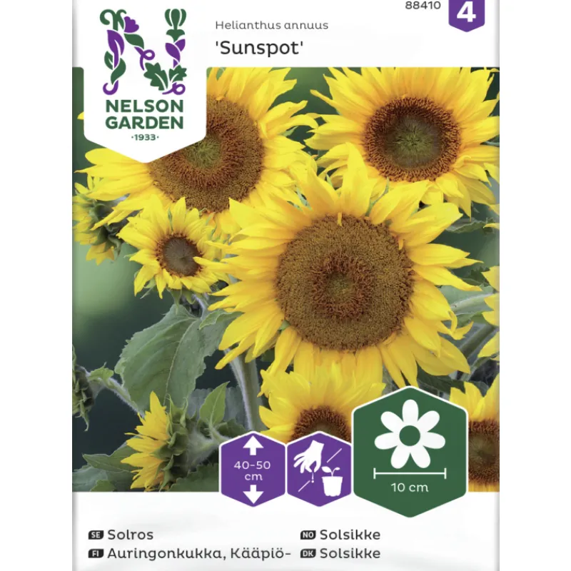 kpiauringonkukka-siemen-nelson-lgAPsHPJ-0.webp Nelson Garden Basic Kasvien Ja Nurmikonsiemenet-Kääpiöauringonkukka Siemen Sunspot