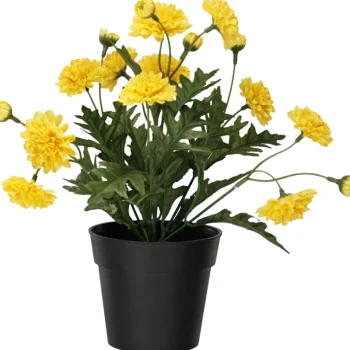 Kotikulta Tekokasvit-Krysanteemi Ruukussa 27 Cm Keltainen