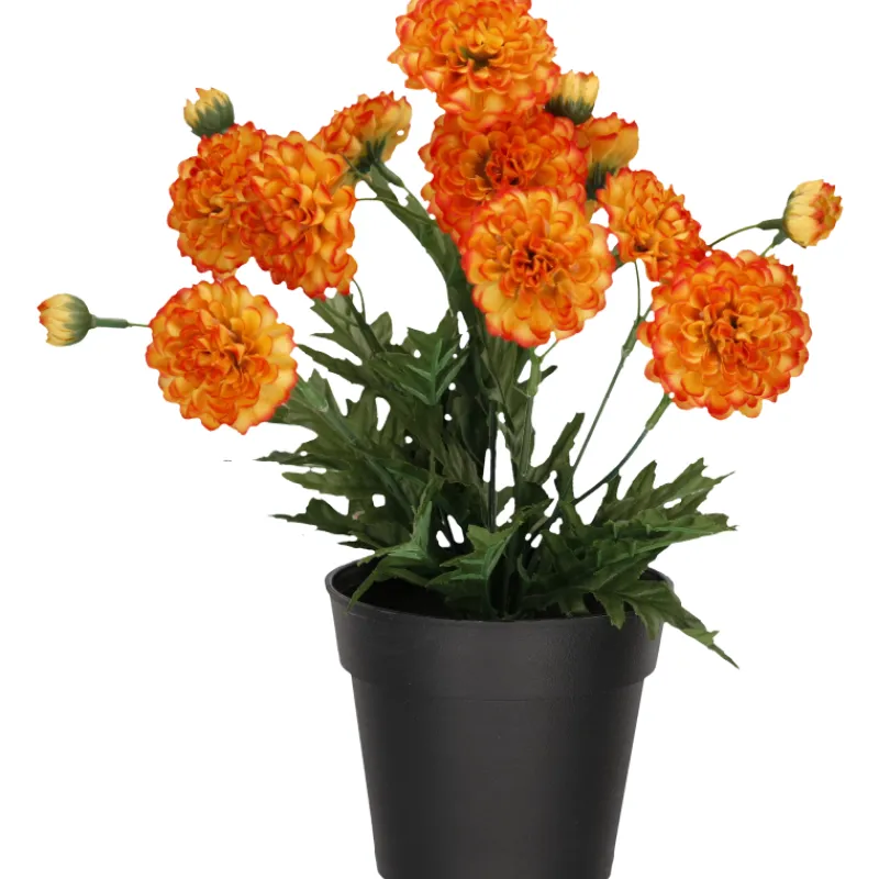 krysanteemi-ruukussa-kotikulta-TwqLySIM-0.webp Kotikulta Tekokasvit-Krysanteemi Ruukussa 27 Cm Oranssi