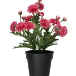 Kotikulta Tekokasvit-Krysanteemi Ruukussa 27 Cm Pinkki