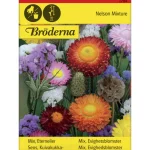Bröderna Nelsons Kasvien Ja Nurmikonsiemenet-Kuivakukkaseos Siemen
