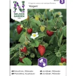 Nelson Garden Basic Kasvien Ja Nurmikonsiemenet-Kuukausimansikka Siemen Rügen