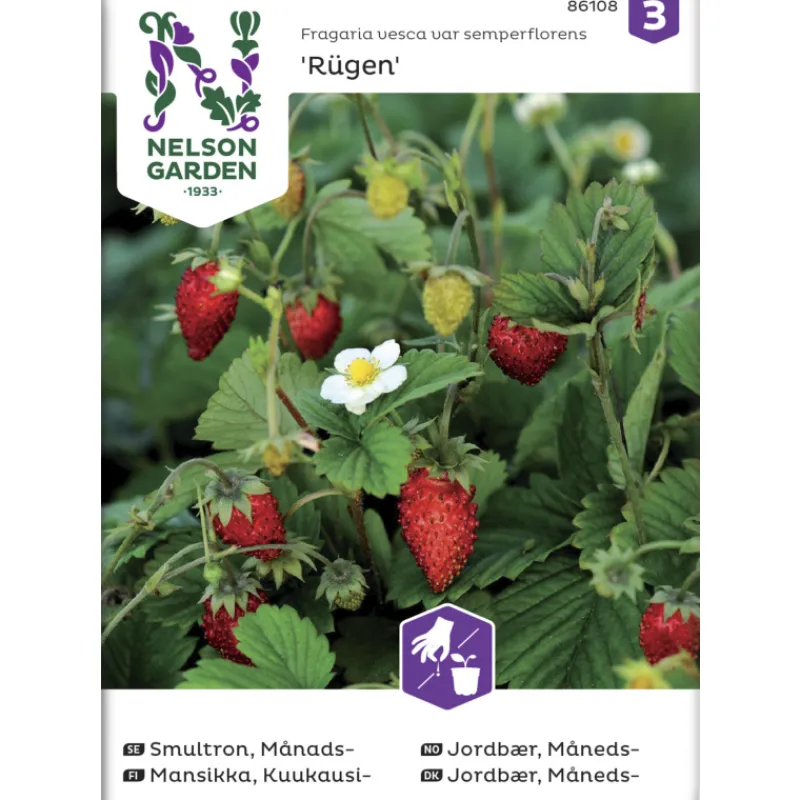 kuukausimansikka-siemen-nelson-JxWvtkdq-0.webp Nelson Garden Basic Kasvien Ja Nurmikonsiemenet-Kuukausimansikka Siemen Rügen