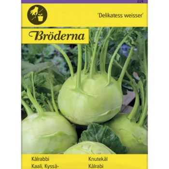 Bröderna Nelsons Kasvien Ja Nurmikonsiemenet-Kyssäkaali Delikatess Weisser Siemen