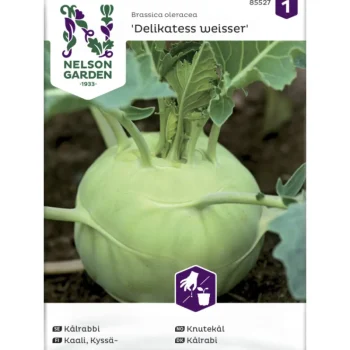 Nelson Garden Basic Kasvien Ja Nurmikonsiemenet-Kyssäkaali Siemen Delikatess Weisser