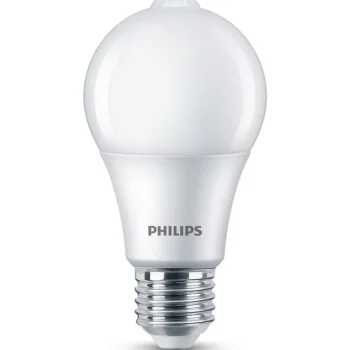 Philips Lamput-LED-lamppu 60 W E27 Huurrettu