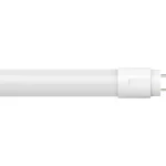 Airam Lamput-LED-putki 5,4 W G13 810 Lm