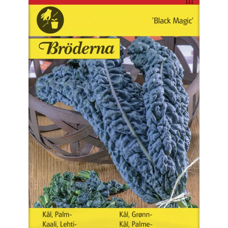 lehtikaali-black-magic-siemen-PyDEupbg-0.webp Bröderna Nelsons Kasvien Ja Nurmikonsiemenet-Lehtikaali Black Magic Siemen