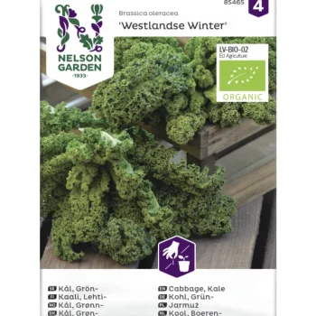 Nelson Garden Basic Kasvien Ja Nurmikonsiemenet-Lehtikaali Siemen Westlandse Organic
