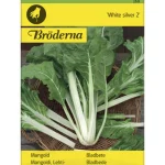 Bröderna Nelsons Kasvien Ja Nurmikonsiemenet-Lehtimangoldi White Silver Siemen