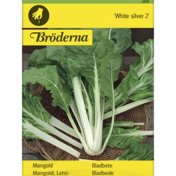 Bröderna Nelsons Kasvien Ja Nurmikonsiemenet-Lehtimangoldi White Silver Siemen