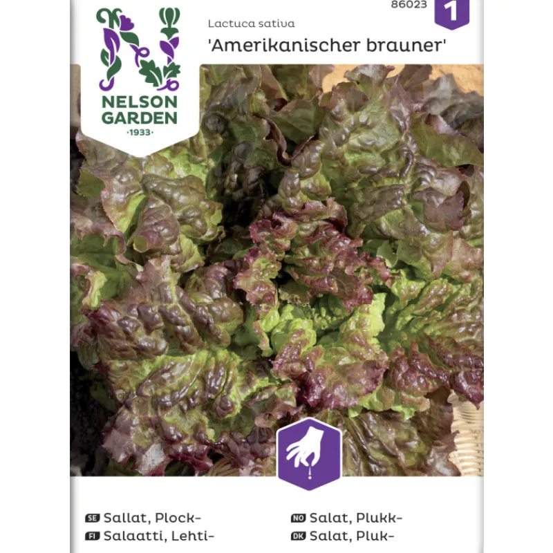 lehtisalaatti-siemen-nelson-ga-aTiaSvBM-0.webp Nelson Garden Basic Kasvien Ja Nurmikonsiemenet-Lehtisalaatti Siemen Amerikkalainen