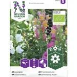 Nelson Garden Basic Kasvien Ja Nurmikonsiemenet-Leijonankita Siemen Seos Organic