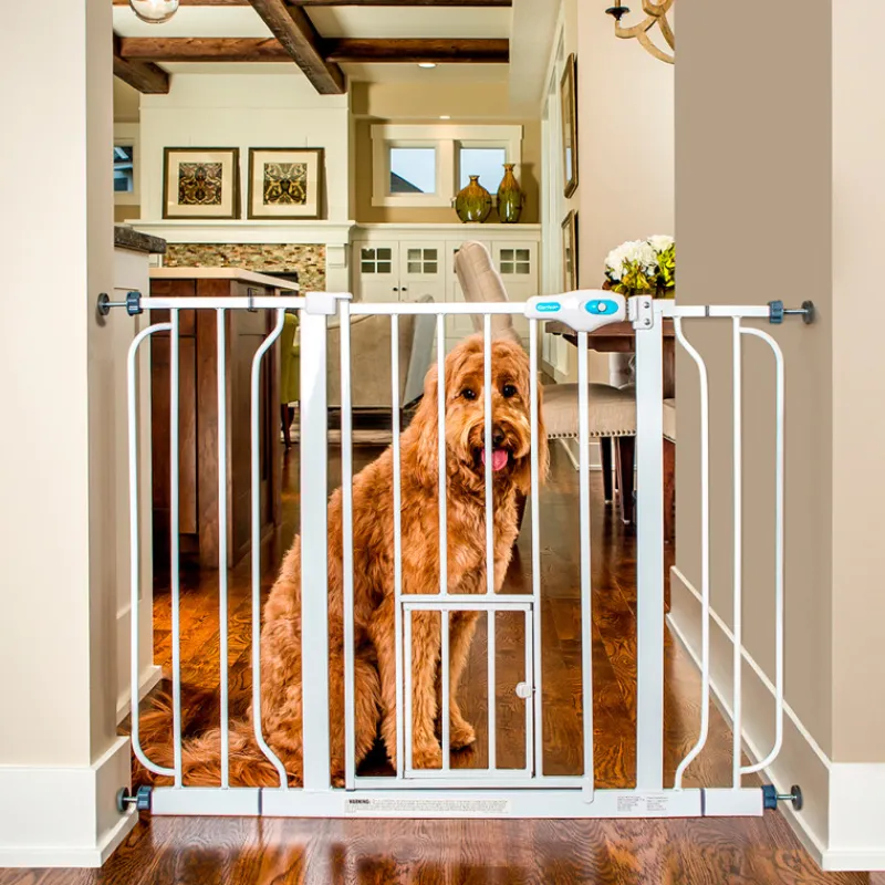 lemmikkiportti-carlson-leve-yMrIYdgQ-0.webp Carlson Koiratarvikkeet^Lemmikkiportti Leveä