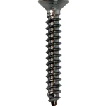 Arctic Marine Naulat Ja Ruuvit-Levyruuvi DIN7982 5,5x32 A4, 12 Kpl