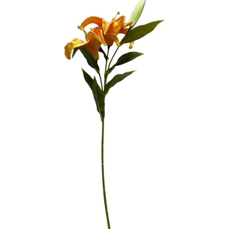 lilja-kotikulta-58-cm-QAnsVqCZ-0.webp Kotikulta Tekokasvit-Lilja 58 Cm