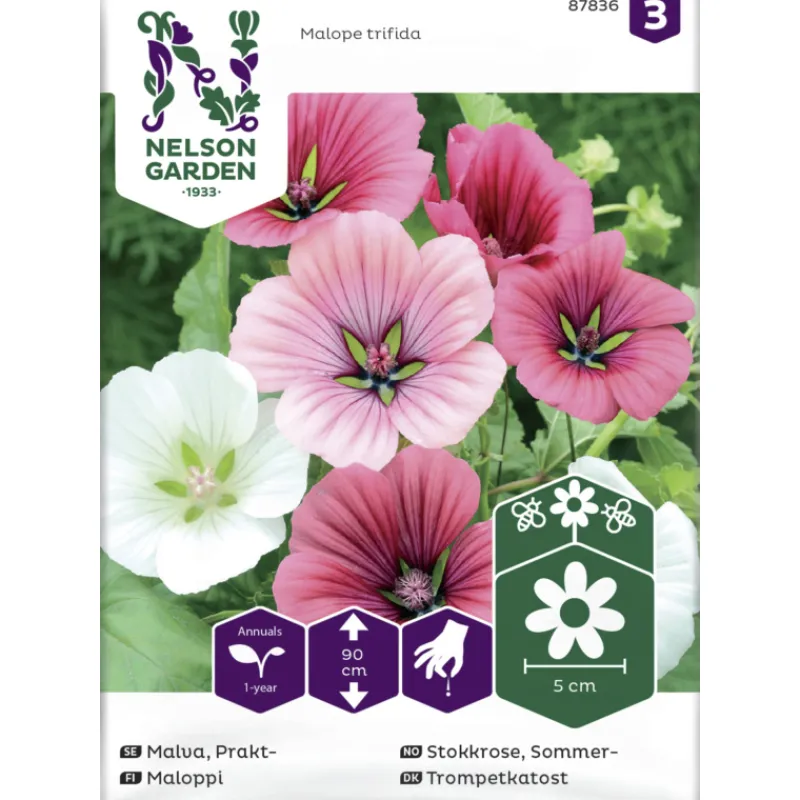 maloppi-siemen-nelson-garden-b-yaLUnzNW-0.webp Nelson Garden Basic Kasvien Ja Nurmikonsiemenet-Maloppi Siemen