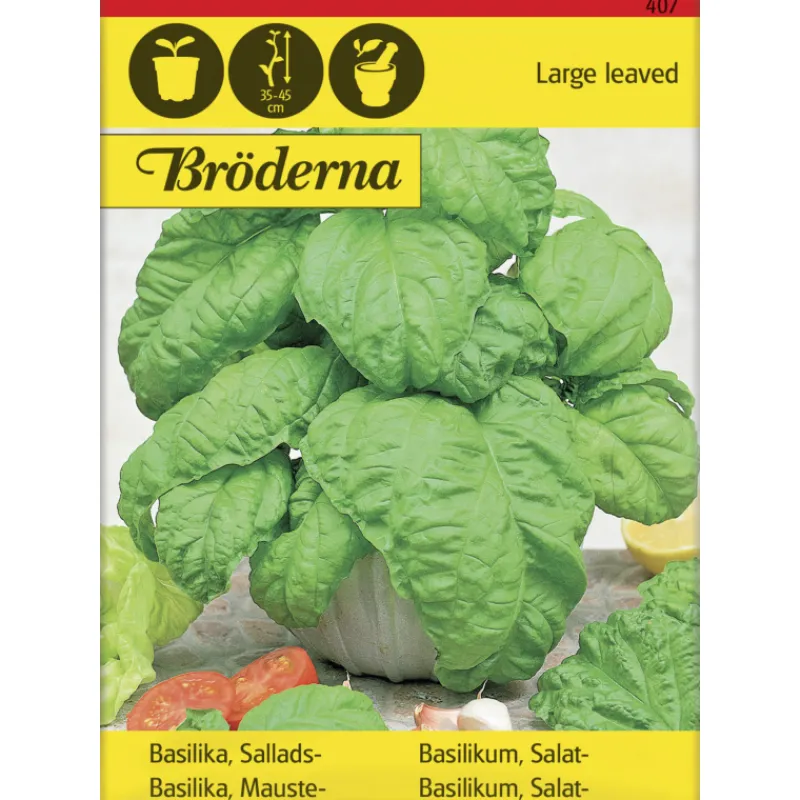 maustebasilika-siemen-brderna-JrNNwNca-0.webp Bröderna Nelsons Kasvien Ja Nurmikonsiemenet-Maustebasilika Siemen