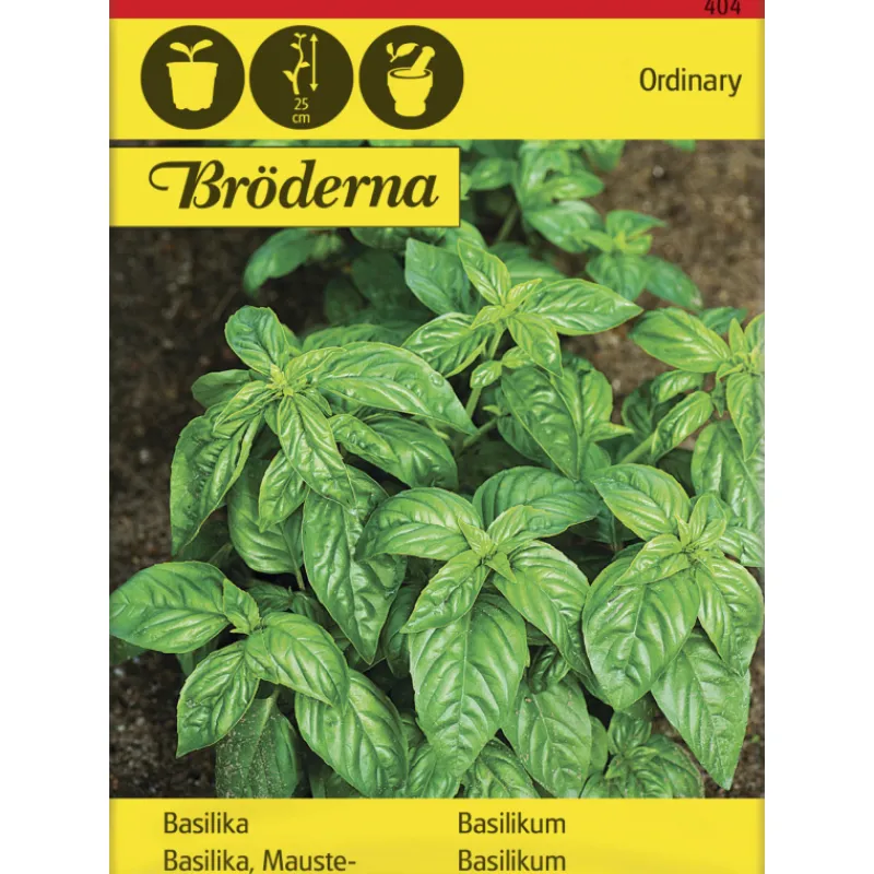 maustebasilika-siemen-brderna-jTiUDYbW-0.webp Bröderna Nelsons Kasvien Ja Nurmikonsiemenet-Maustebasilika Siemen