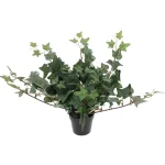 Kotikulta Tekokasvit-Muratti 23 Cm Ruukussa