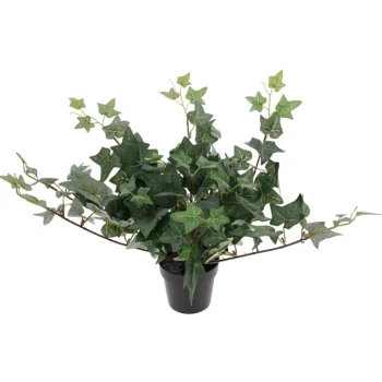 Kotikulta Tekokasvit-Muratti 23 Cm Ruukussa