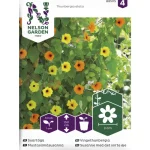 Nelson Garden Basic Kasvien Ja Nurmikonsiemenet-Mustasilmäsusanna Siemen Väriseos