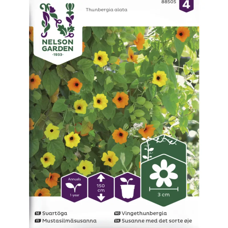 mustasilmsusanna-siemen-nelson-dxuRbYGa-0.webp Nelson Garden Basic Kasvien Ja Nurmikonsiemenet-Mustasilmäsusanna Siemen Väriseos