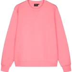 Noixx Naisten Collegevaatteet^Naisten Collegepusero Crew Ladies Pinkki