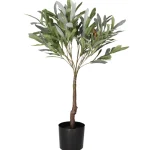 Kotikulta Tekokasvit-Oliivipuu 75 Cm