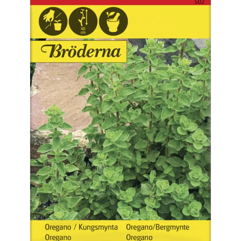 oregano-mkimeirami-siemen-brde-JFYslhzh-0.webp Bröderna Nelsons Kasvien Ja Nurmikonsiemenet-Oregano/ Mäkimeirami Siemen