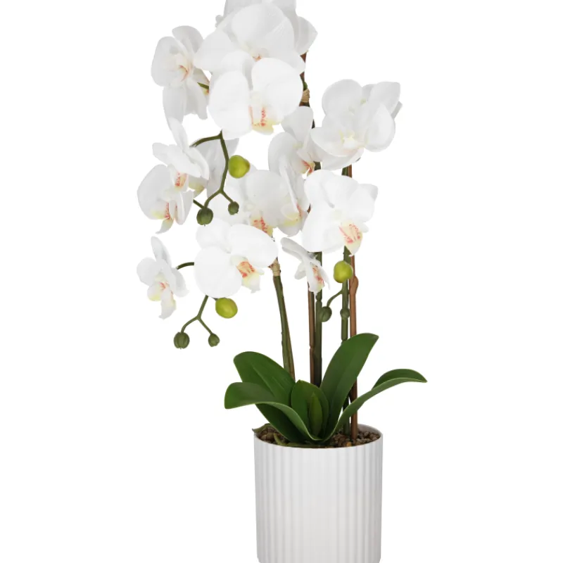 orkidea-kotikulta-3-vanainen-ldfaiJvI-0.webp Kotikulta Tekokasvit-Orkidea 3-vanainen Pinkki
