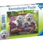 palapeli-ravensburger-travelin-gsWlrIsr-0.webp