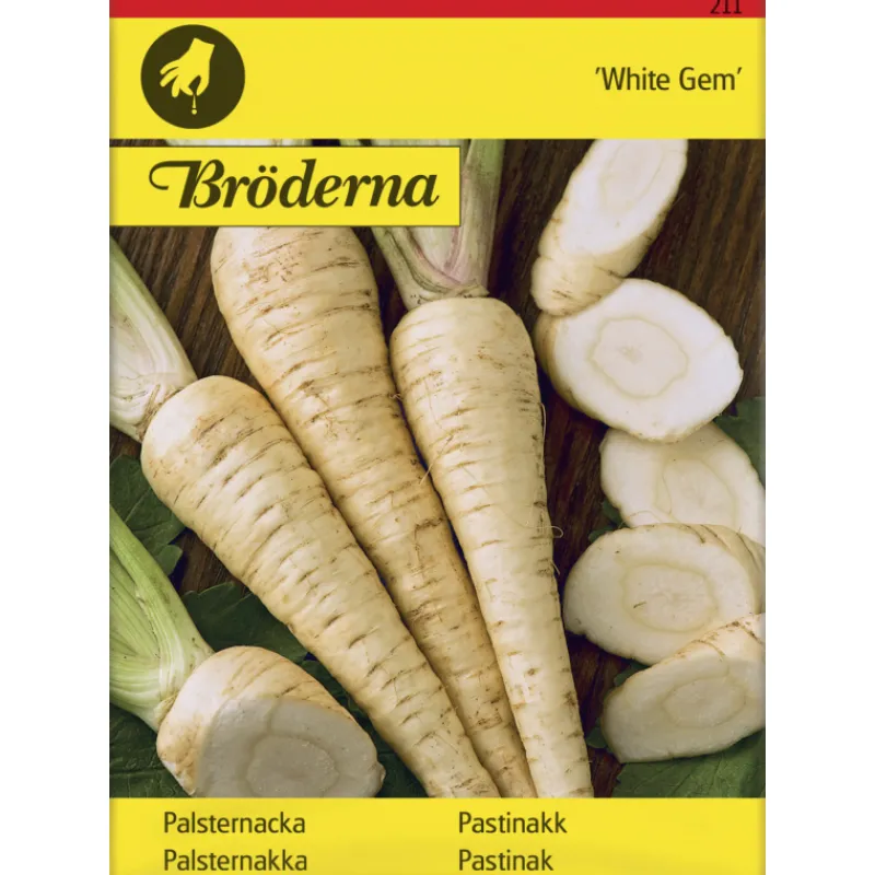 palsternakka-white-gem-siemen-CnadSXiw-0.webp Bröderna Nelsons Kasvien Ja Nurmikonsiemenet-Palsternakka White Gem Siemen