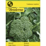 Bröderna Nelsons Kasvien Ja Nurmikonsiemenet-Parsakaali Calabrese Natalino Siemen