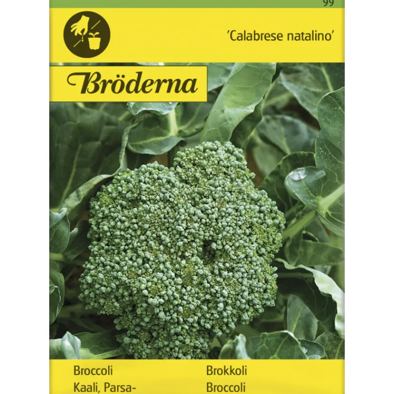 parsakaali-calabrese-natalino-LqOVpQso-0.webp Bröderna Nelsons Kasvien Ja Nurmikonsiemenet-Parsakaali Calabrese Natalino Siemen