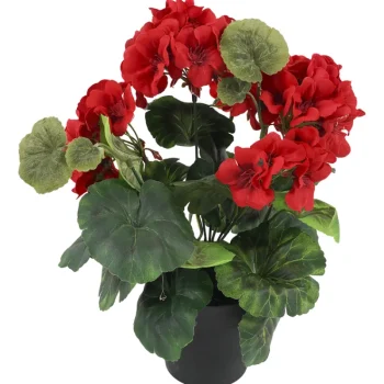 Kotikulta Tekokasvit-Pelargonia 30 Cm Ruukussa Punainen