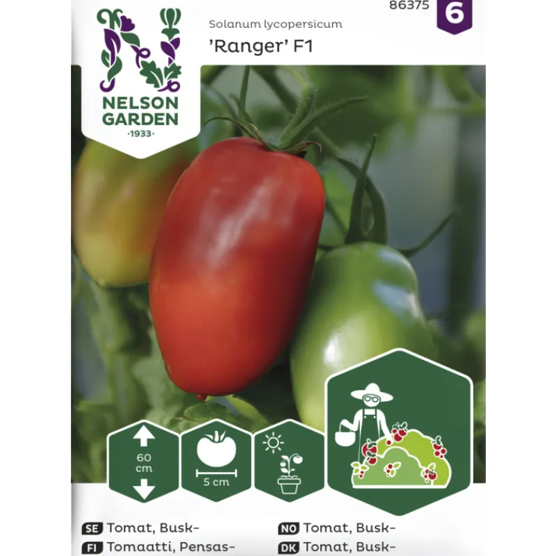 pensastomaatti-siemen-nelson-g-ayikrLXa-0.webp Nelson Garden Basic Kasvien Ja Nurmikonsiemenet-Pensastomaatti Siemen Ranger F1