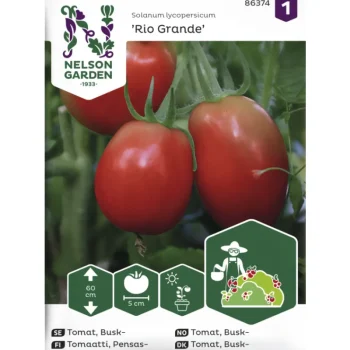 Nelson Garden Basic Kasvien Ja Nurmikonsiemenet-Pensastomaatti Siemen Rio Grande