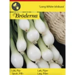 Bröderna Nelsons Kasvien Ja Nurmikonsiemenet-Pillisipuli Long White Ishikura Siemen