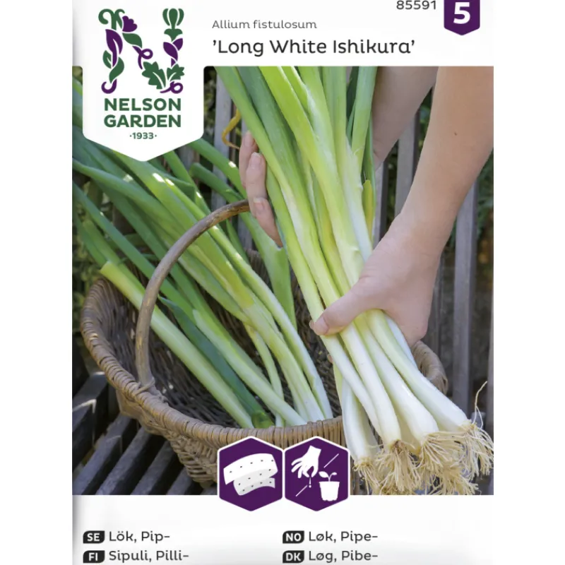 pillisipuli-siemen-nelson-gard-melgQqOK-0.webp Nelson Garden Basic Kasvien Ja Nurmikonsiemenet-Pillisipuli Siemen Kylvönauha