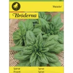 Bröderna Nelsons Kasvien Ja Nurmikonsiemenet-Pinaatti Matador Siemen