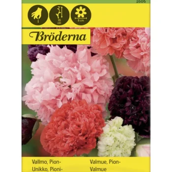 Bröderna Nelsons Kasvien Ja Nurmikonsiemenet-Pioniunikko Väriseos Siemen