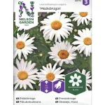 Nelson Garden Basic Kasvien Ja Nurmikonsiemenet-Päivänkakkara Siemen Maikönigin