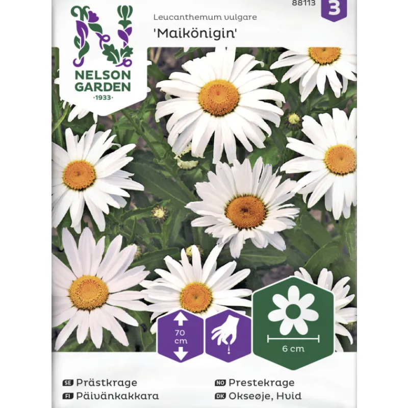 pivnkakkara-siemen-nelson-gard-ZXfzWfax-0.webp Nelson Garden Basic Kasvien Ja Nurmikonsiemenet-Päivänkakkara Siemen Maikönigin