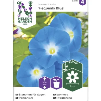 Nelson Garden Basic Kasvien Ja Nurmikonsiemenet-Päivänsini Siemen Heavenly Blue