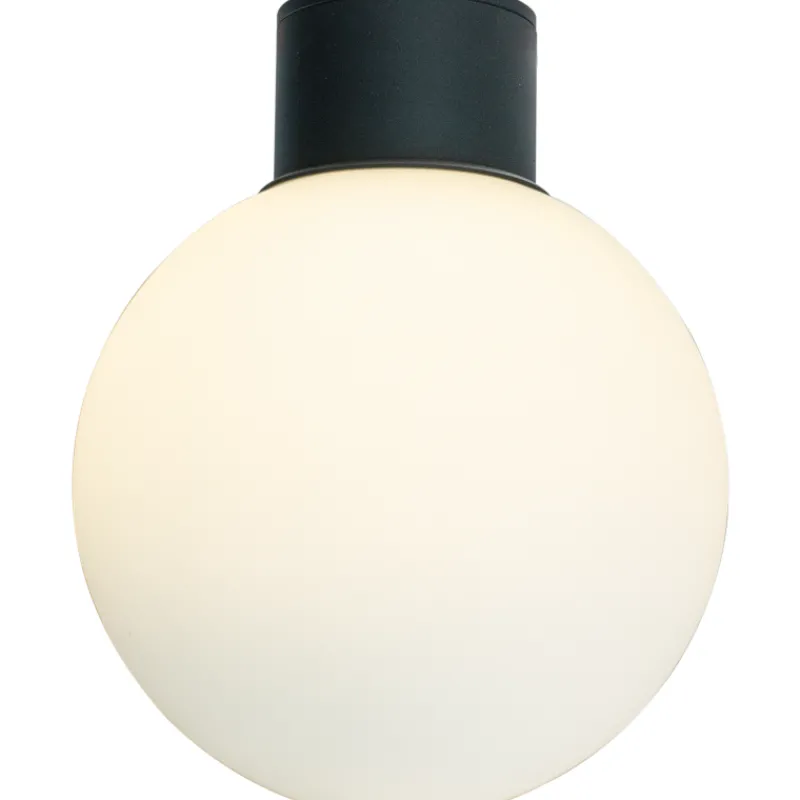 plafondi-aneta-lighting-saltvi-noQdBRJY-0.webp Aneta Lighting Ulkovalaisimet-Plafondi Saltvik Ulos Musta/valkoinen