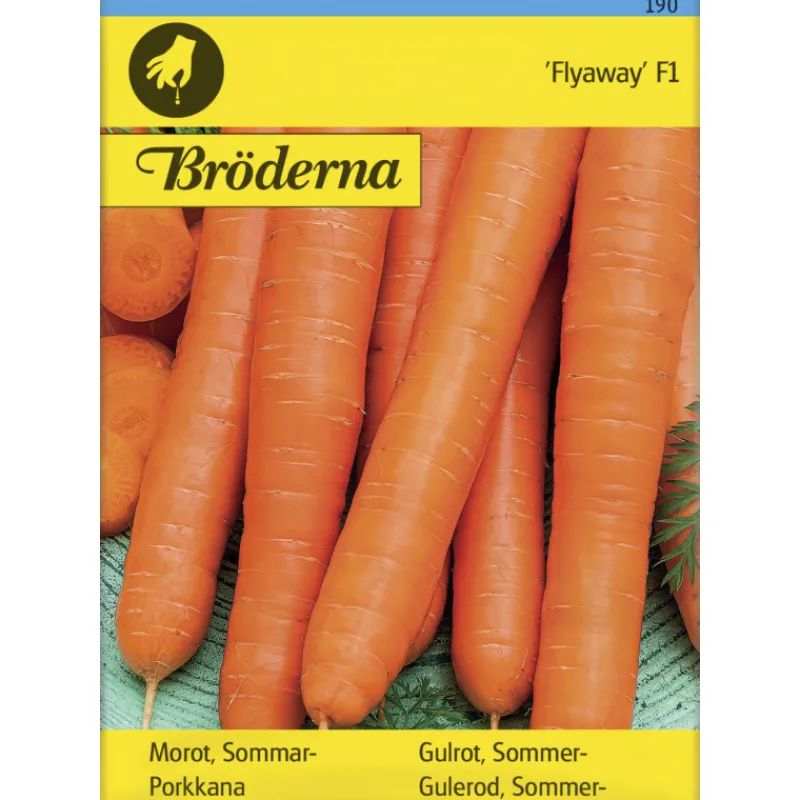 porkkana-flyaway-f1-siemen-brd-smXODctf-0.webp Bröderna Nelsons Kasvien Ja Nurmikonsiemenet-Porkkana Flyaway F1 Siemen